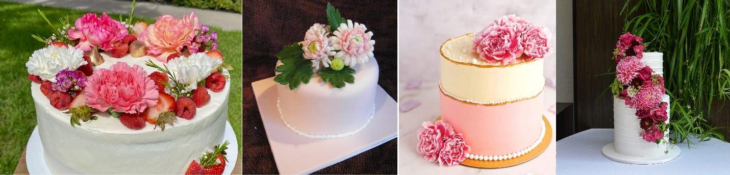 تزیین کیک با گل داوودی و میخک رنگارنگ