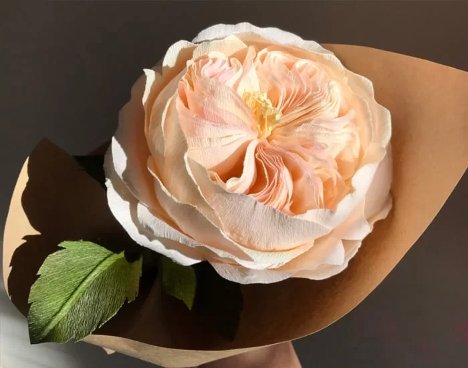 دوره گل رز شکری مریم فراست